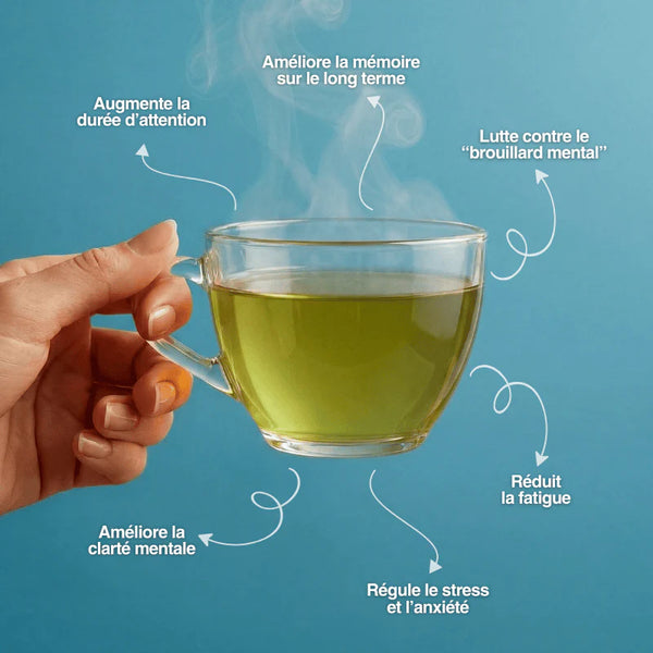 Focus intense - Thé concentration - Vue 2