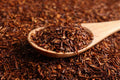 Rooibos