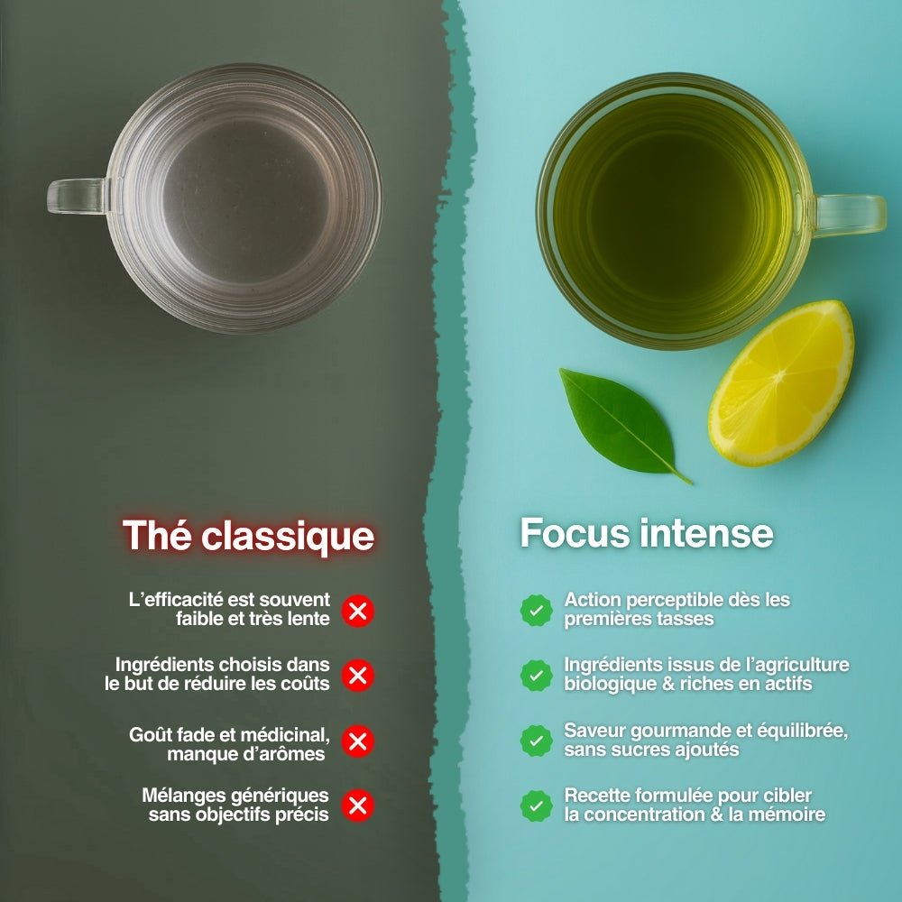 Focus intense - Thé concentration - Sentea