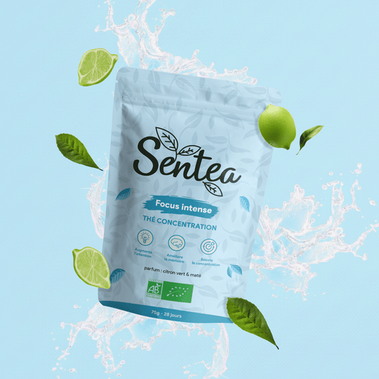 Focus intense - Thé concentration - Sentea