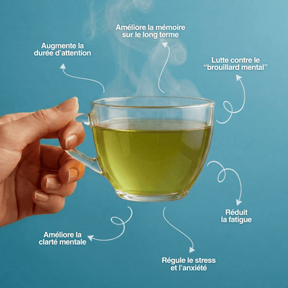 Focus intense | Thé concentration - Sentea