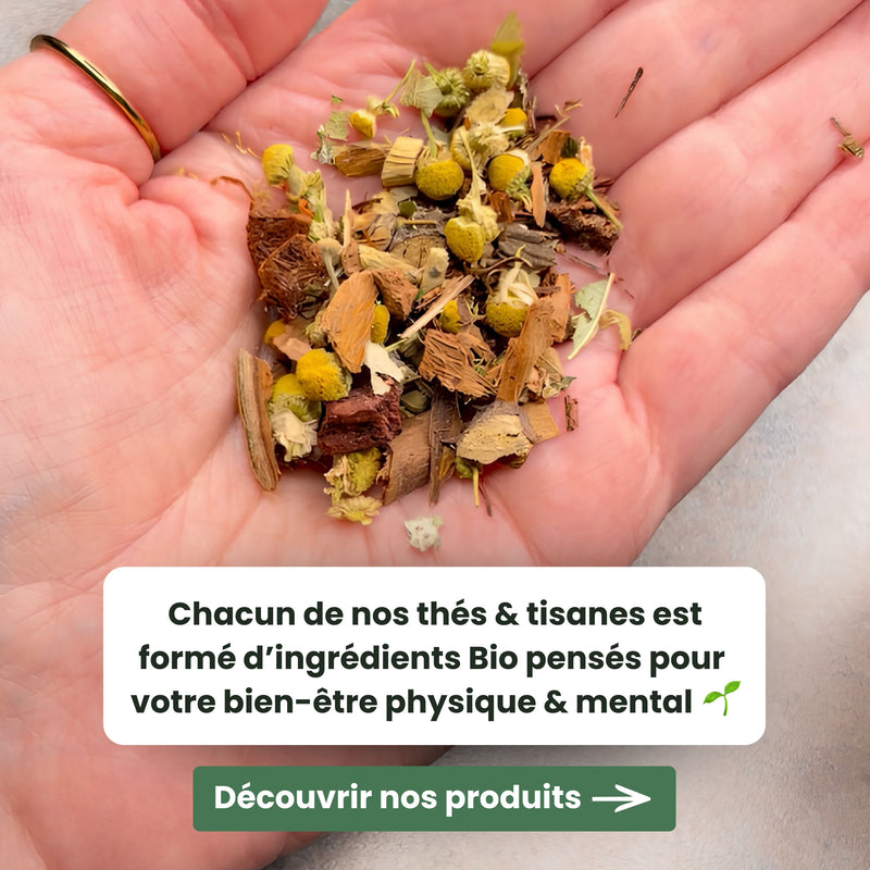 Coffret découverte